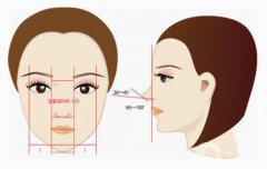 耳軟骨墊鼻尖是*嗎 耳軟骨墊鼻尖果維持多久