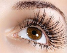 種睫毛要多少錢 種睫毛價(jià)格是多少