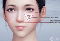 膠原蛋白豐蘋果肌果怎么樣?價格是多少?