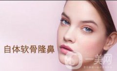 廣東自軟骨隆鼻多少錢？