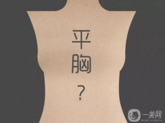 抽脂豐胸整形手術(shù)一般多少錢？
