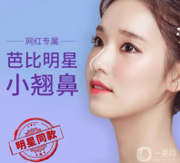 假體隆鼻價格是多少？