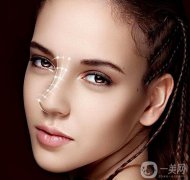 耳軟骨隆鼻多少錢？