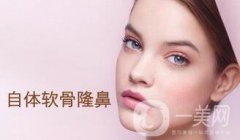 自體軟骨隆鼻好嗎 自體軟骨隆鼻術價位