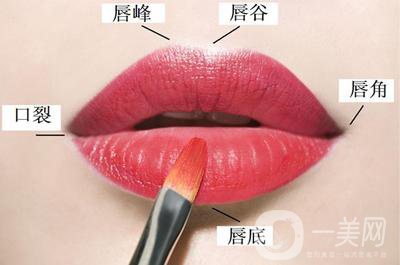 弓形唇與仰月唇區(qū)別是什么