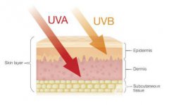 如何快速治好曬傷?來自*皮膚科醫(yī)生的15個(gè)提示