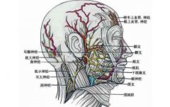 面部纖維溶解手術(shù)有風(fēng)險嗎？
