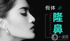 分段式假體隆鼻啥意思?價(jià)格是多少?