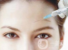 瑞蘭2號(hào)多少錢一支?價(jià)格詳細(xì)分析