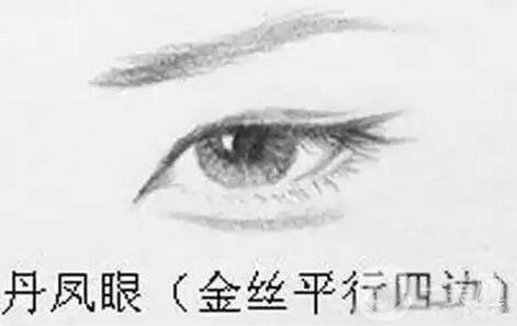 丹鳳眼是什么樣兒的？好看嗎？