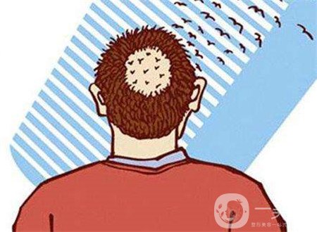 毛發(fā)種植費(fèi)用大概要多少錢(qián)？