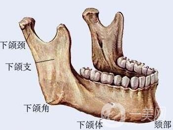磨下頜角價(jià)格是不是很貴？一般要多少錢？