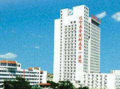 遼寧醫(yī)學院附屬醫(yī)院燒傷整形科價格表鉅惠發(fā)布，附概況及口碑