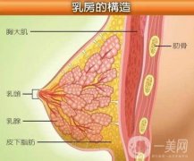 平胸穿衣顯高級?機場更美！醒醒吧集美！胸大才能逆襲女神！