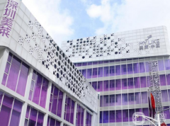 深圳美萊醫(yī)療美容醫(yī)院怎么樣？收費(fèi)如何？供雙眼皮整形案例參考