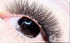 種植睫毛可以管多長(zhǎng)時(shí)間?