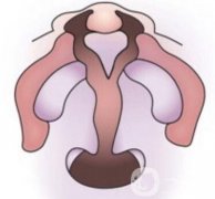 唇腭裂的常規(guī)調(diào)節(jié)過(guò)程是怎樣的?修復(fù)要求是什么?