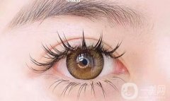 種植睫毛是不是種在根部?