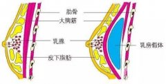隆胸后懷孕對身體有影響嗎?可以母乳喂養(yǎng)嗎?