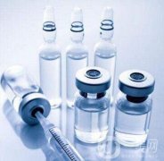 愛貝芙豐額頭有嗎?愛貝芙豐額頭注意事項!