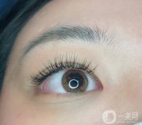 種植睫毛的價格是多少?種植睫毛可以維持多少時間？