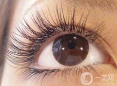 孕睫術(shù)和種植睫毛哪個更好？孕睫術(shù)和種植睫毛的區(qū)別？