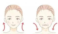 自體脂肪填充之后能吃和不能吃的食物？