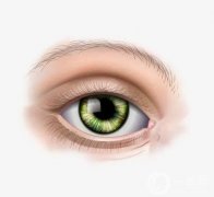 上瞼提肌縮短術(shù)是什么手術(shù)?怎么做的？