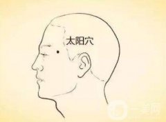 豐太陽穴有哪些材料?