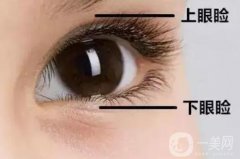 眼瞼抽脂有哪些優(yōu)點(diǎn)呢？