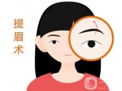 切眉好還是提眉好