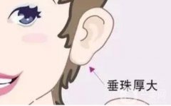 豐耳垂的注意事項(xiàng)及好處、壞處？