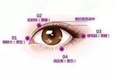 切開雙眼皮的優(yōu)點和缺點是什么