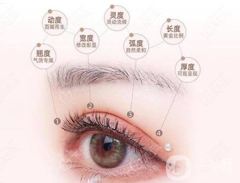 雙眼皮