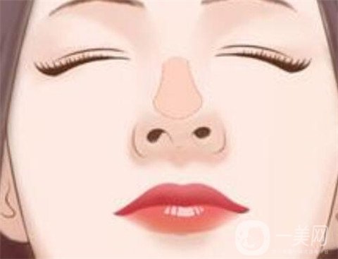 耳軟骨墊鼻尖多少錢 耳軟骨墊鼻尖具體價(jià)格