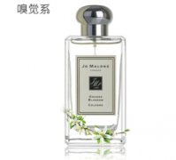 祖馬龍香水味道排名，藍(lán)風(fēng)鈴居首，哪款吸引你？