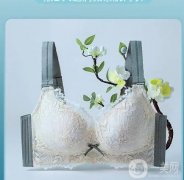 潤微茶肌內(nèi)衣：舒適聚攏，展現(xiàn)自信魅力