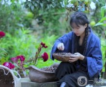 李子柒與“中國風”的全球魅力：文化輸出的新典范