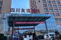 成都友誼醫(yī)院隆鼻價格多少錢？2024坐診專家介紹、案例全在這里