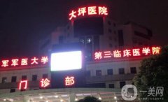 2024大坪醫(yī)院隆鼻價格表公布，附坐診醫(yī)生簡介、技術(shù)實力淺析