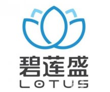 中國(guó)植發(fā)公認(rèn)好的醫(yī)院前五強(qiáng)！碧蓮盛、雍禾、熙朵等技術(shù)大起底！價(jià)格正規(guī)！