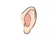 糾正招風(fēng)耳的方法有哪些？