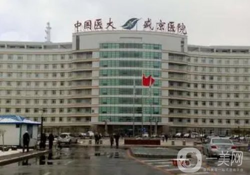 沈陽盛京醫(yī)院整形外科醫(yī)生都有誰?內(nèi)附醫(yī)生信息一覽