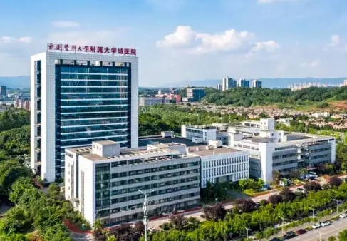 重慶醫(yī)科大學(xué)附屬大學(xué)城醫(yī)院.jpg