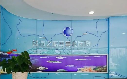 藍(lán)海之略.jpg