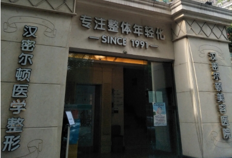 四川漢密爾頓.jpg