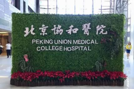 北京乳房整形醫(yī)院哪家好？八大處vs協(xié)和，榜一爭(zhēng)奪發(fā)布