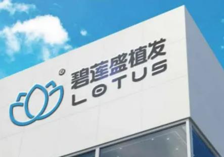 2024湖南植發(fā)醫(yī)院排名榜前五測(cè)評(píng)！大麥第三_碧蓮盛鎖定榜一